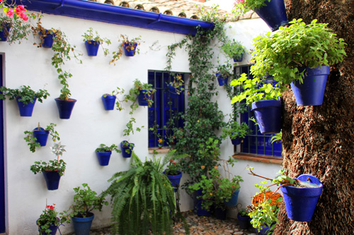 Patio cordobés 2