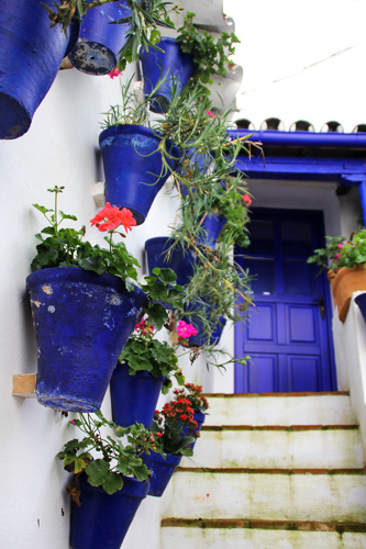 patio cordobés 3