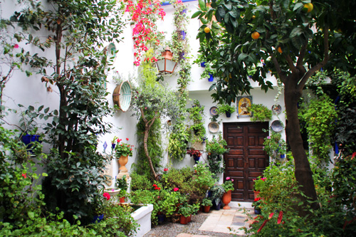 patio cordobés 5