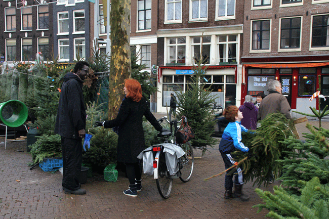 Comprando árboles de Navidad en un mercado