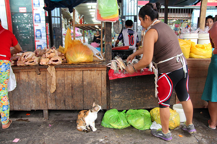 mercado-belen-iquitos-4-peru-mipaseoporelmundo