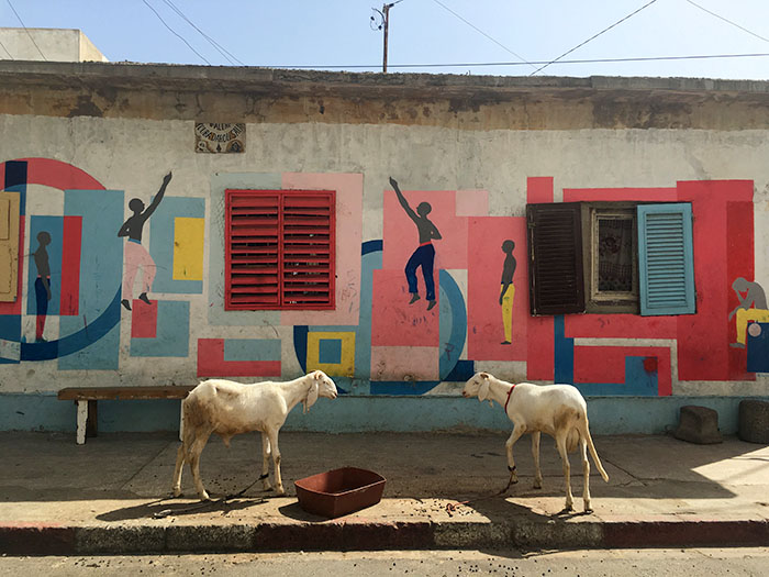 corderos-mural-medina-dakar-senegal-mipaseoporelmundo